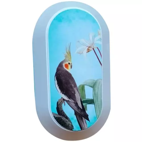 Anchor Smart Bulbul Door Bell White & Blue PVC Plastic for Industrial and Home Use, 22665