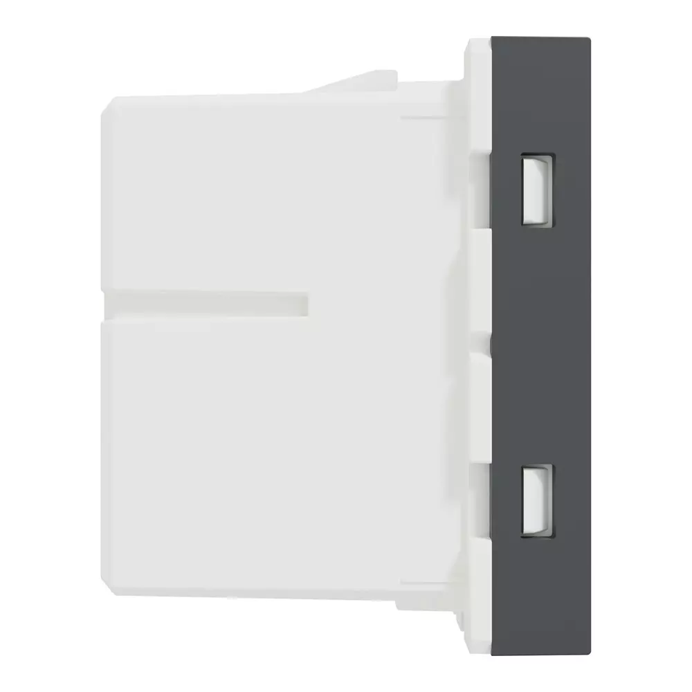 schneider-electric-miluz-lara-series-door-chime-2-module-220-240-v-ac-operational-voltage-and-anthracite-black-color-mldrchm2m_an