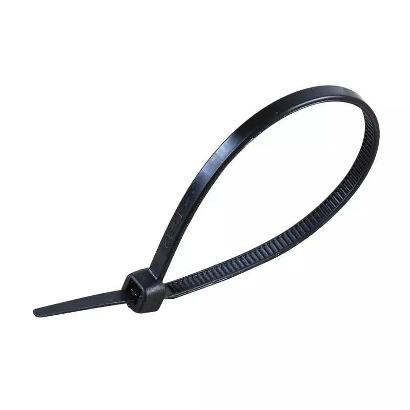 Partex Cable Tie Non-Releasable Nylon (Pack of 100)