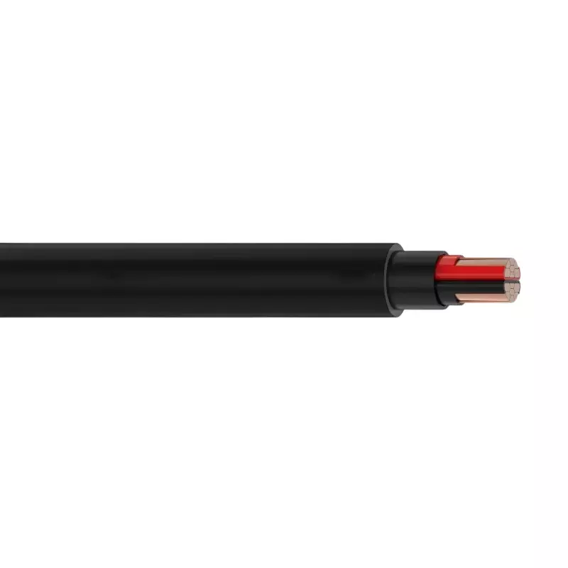 ADCAB Power Cable UN Armoured Copper 2 Core 4 Sq. mm and 100 m Length