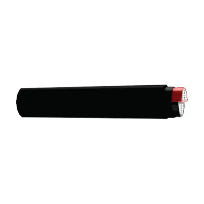 ADCAB Aluminum Unarmoured Power Cable 2 Core 10 Sq. mm Length 10 m, A2XY