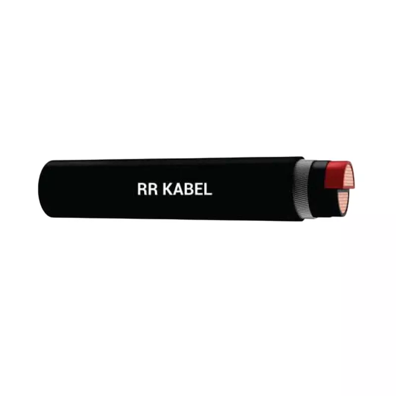 RR Kabel Armoured Power Cable Black Solid Copper Conductor 4 Sq. mm 2 Core and 100 m Length, 2XWY