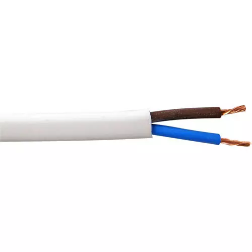 Polycab 2 Core Industrial Braided PVC Sheathed Flexible Unarmoured Cable (100 m)