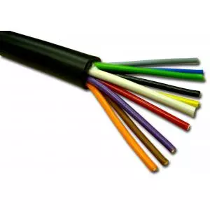 Polycab 1 Sq.mm 10 Core Industrial Braided PVC Sheathed Flexible Unarmoured Cable (100 m)