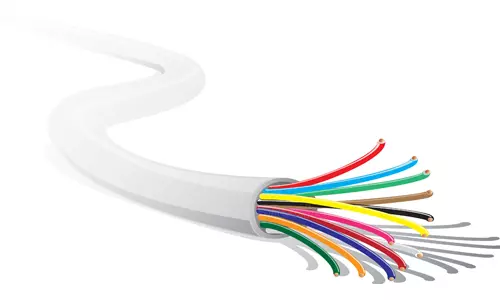 Polycab 12 Core Industrial Braided PVC Sheathed Flexible Unarmoured Cable (100 m)