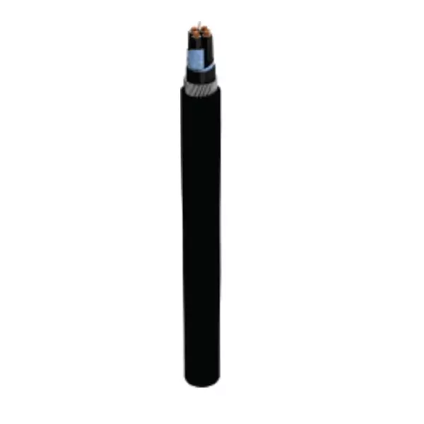 RR Kabel 1 Sq.mm 10 Core Shielded Armoured Cable Black (100 m)