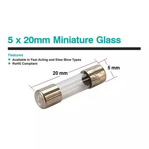 IB BASICS Glass Fuses 10 Amp 5 x 20 mm Size (Pack of 100)