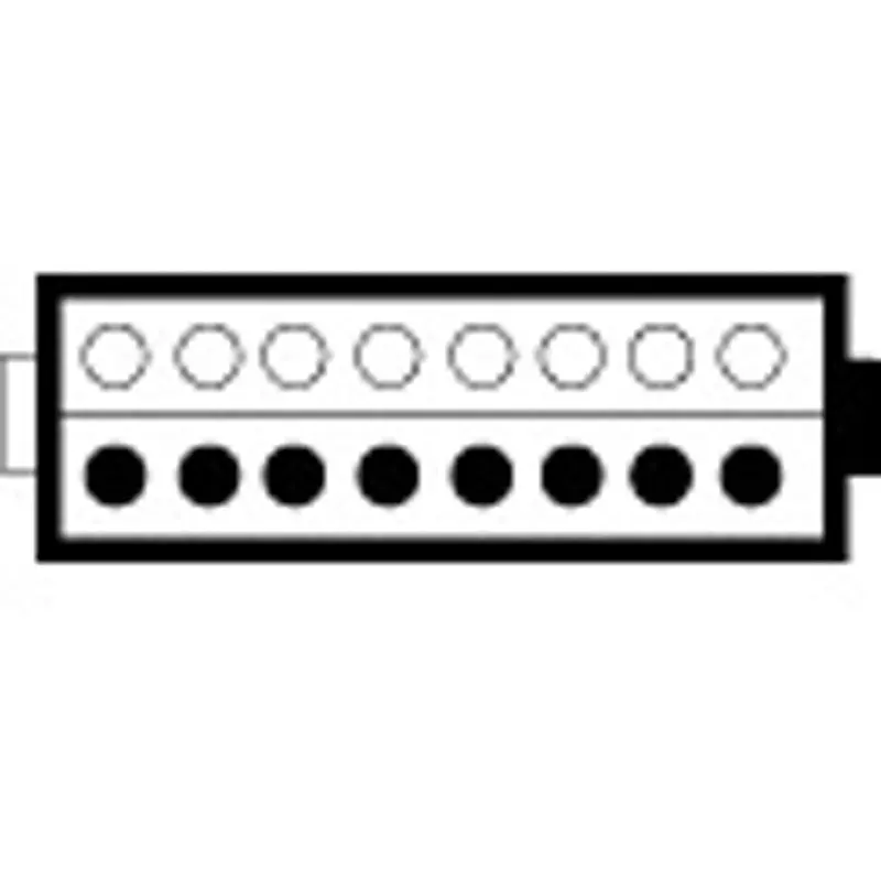 canare-electric-parapara-box-68975141