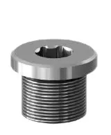Controlwell NPT 12.7 mm (1/2 Inch) Explosion proof nickel plated brass blind stops B-TS1NB
