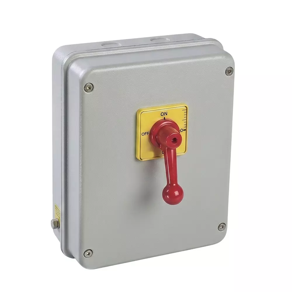 Salzer GEN Changeover Switch 40 Amp 4 Pole C/O in SS Enclosure, EBG31154SB31BGYR
