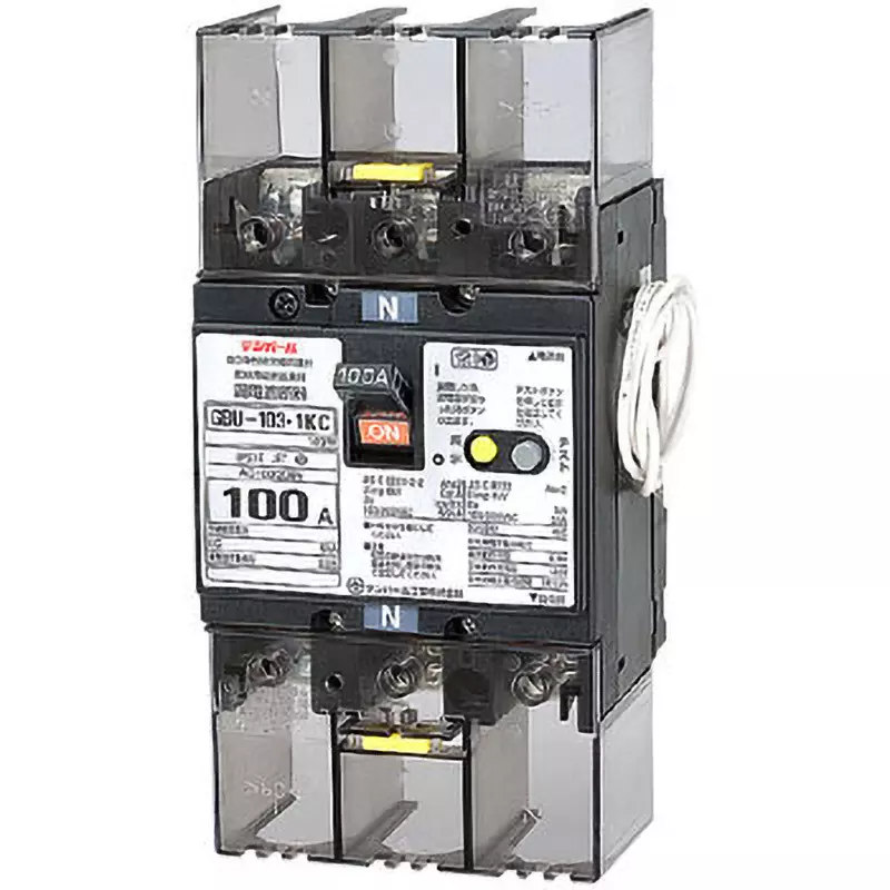 Tempearl Earth Leakage Breaker 100 Amp Rated Current 3P2E, GBU-103 1KC 100A 30MA