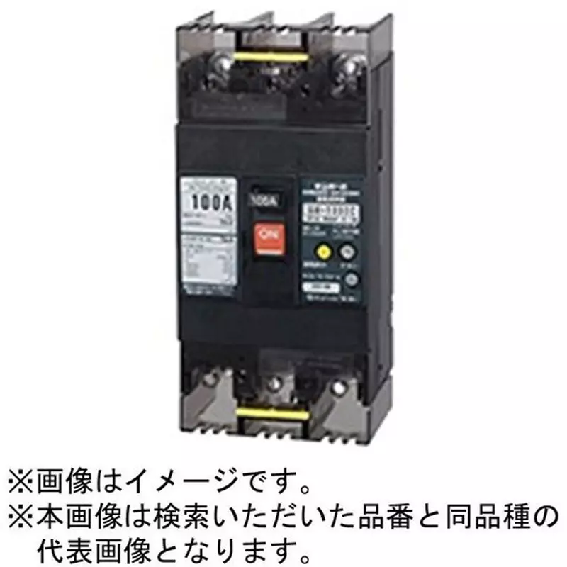 tempearl-earth-leakage-circuit-breaker-60-amp-current-possible-reverse-connection-103ec06w24p