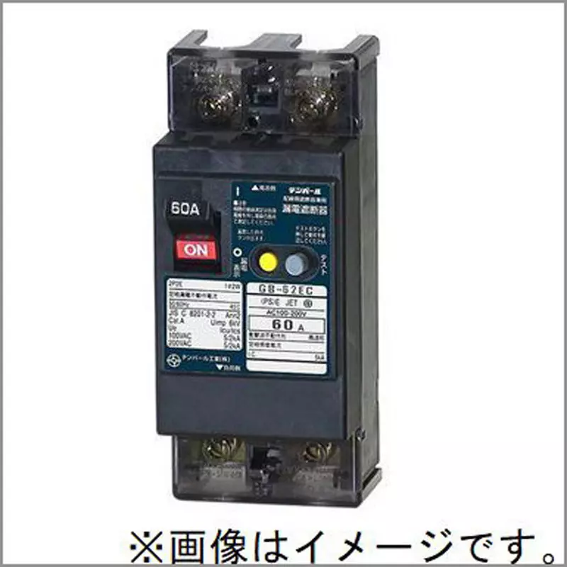 tempearl-earth-leakage-circuit-breaker-60-amp-rated-current-2p2e-62ec6015f