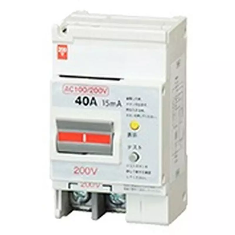 Tempearl Earth Leakage Circuit Breaker 40 Amp Rated Current 2P2E, 52NA4015