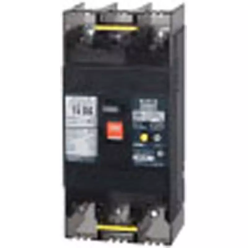 Tempearl Earth Leakage Breaker 100 Amp Rated Current 2P2E, GBL-102EC 100A 100mA Diene SD