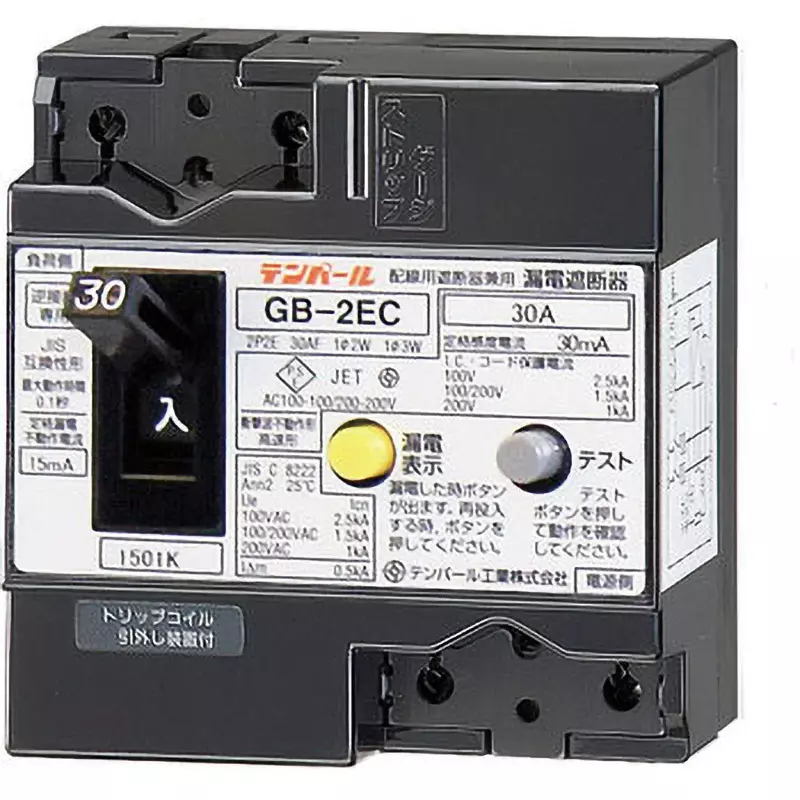 Tempearl Earth Leakage Breaker 30 Amp Rated Current 2P2E, GB-2EC 30A 30MA