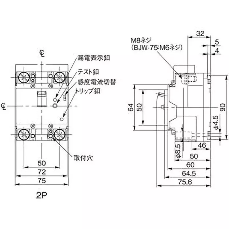 Panasonic Earth Leakage Breaker 2P2E 60 Amp Rated Current, BJW26091K