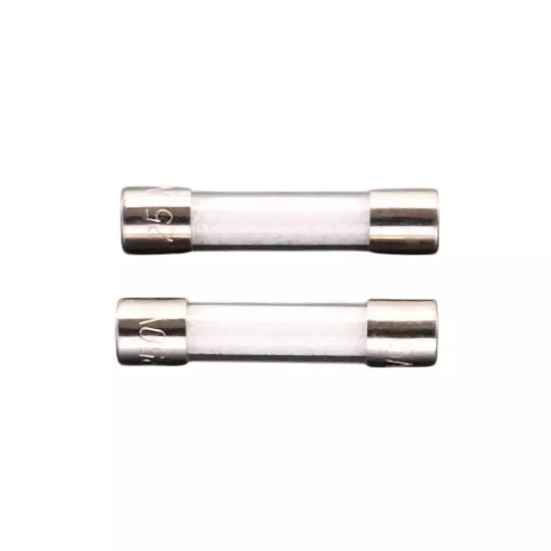 Esco Tube Fuse 250 V Rated Voltage, EA758ZX-26 (Pack of 2)