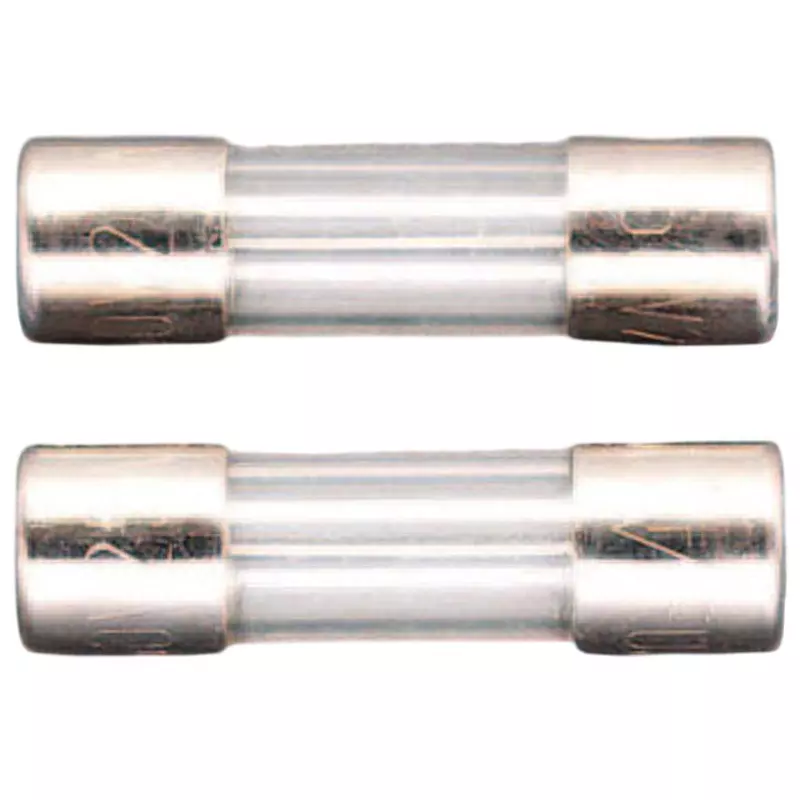 Esco Tube Fuse 250 V Rated Voltage, EA758ZY-21 (Pack of 2)