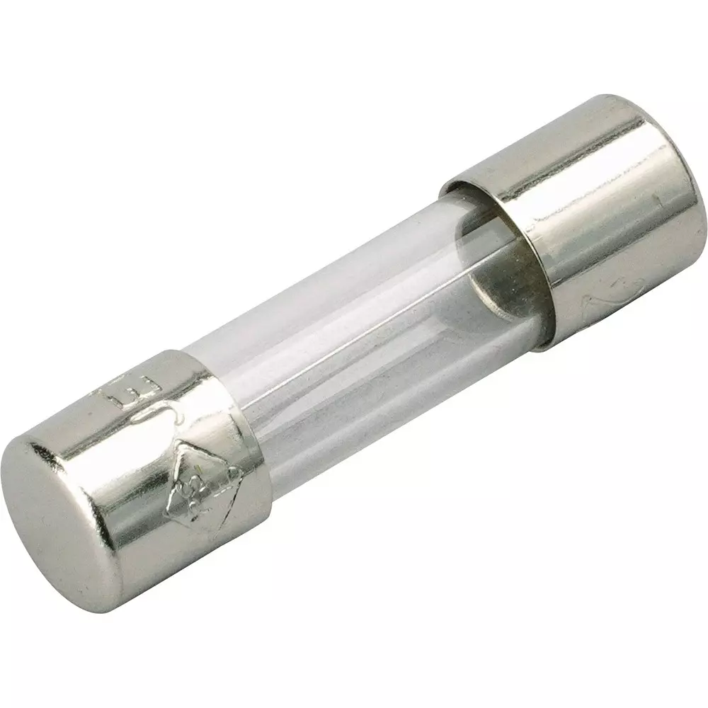 ELPA Glass Tube Fuse 2 Amp Rated Current Φ5.2x20 mm Size, MF-2020H (Pack of 2)