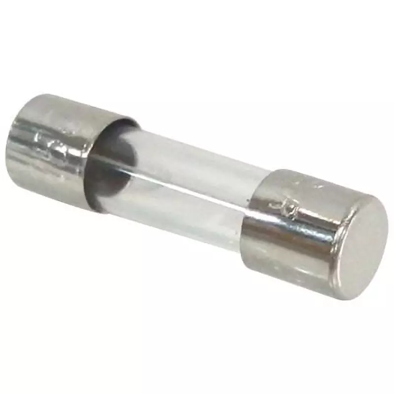 ELPA Glass Tube Fuse 4 Amp Rated Current Φ5.2x20 mm Size, MF-2040H (Pack of 2)