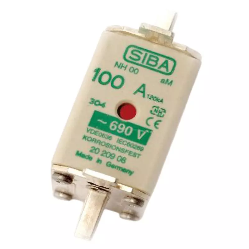SIBA Fuse Link 160 A Rated Current 690 AC Rated Voltage NH00 Fuse, 20-209-08/160A (Pack of 3)