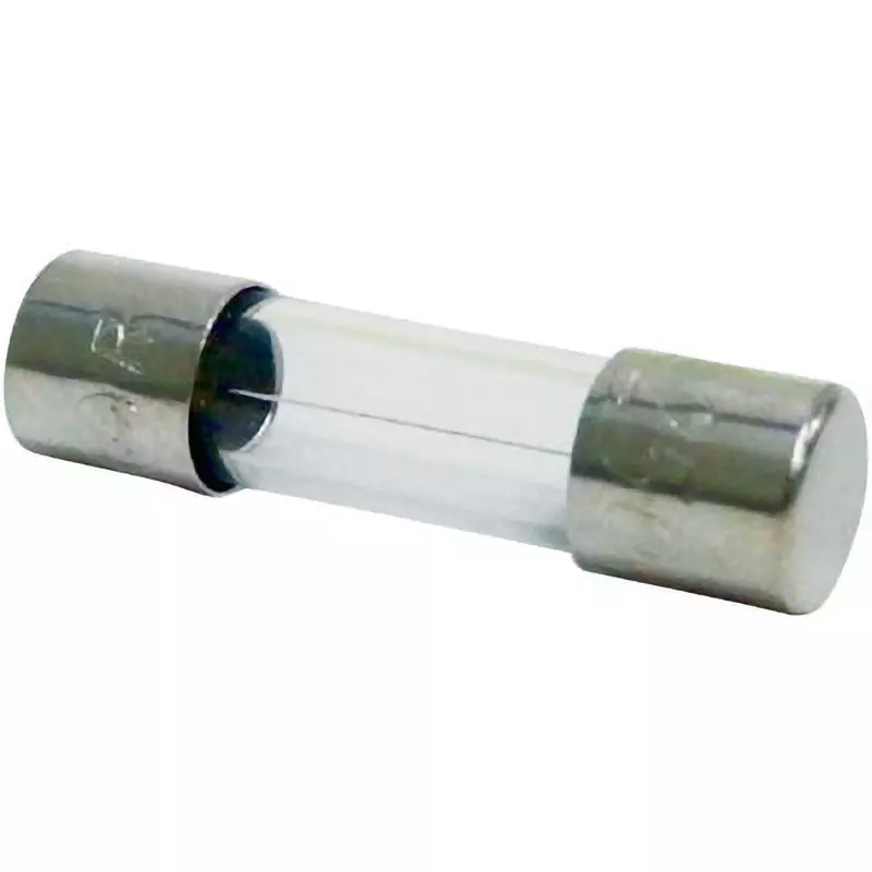 ELPA Glass Tube Fuse 3 Amp Rated Current Φ5.2x20 mm Size, MF-2030H (Pack of 2)