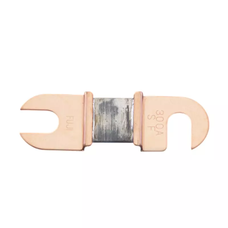 Esco Copper Claw Fuse 250 V Rated Voltage 300 A Rated Current Soluble lead alloy Main Unit Material, EA758ZP-8 (Pack of 2)