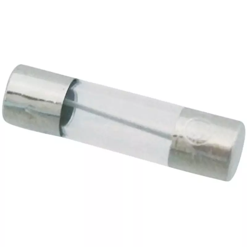 ELPA Glass Tube Fuse 10 Amp Rated Current Φ5.2x20 mm Size, MF-2100H (Pack of 2)