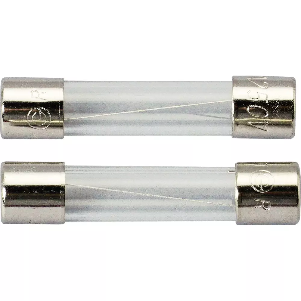 ELPA Glass Tube Fuse 1 Amp Rated Current Φ6.35x30 mm Size, TF-2010H (Pack of 2)