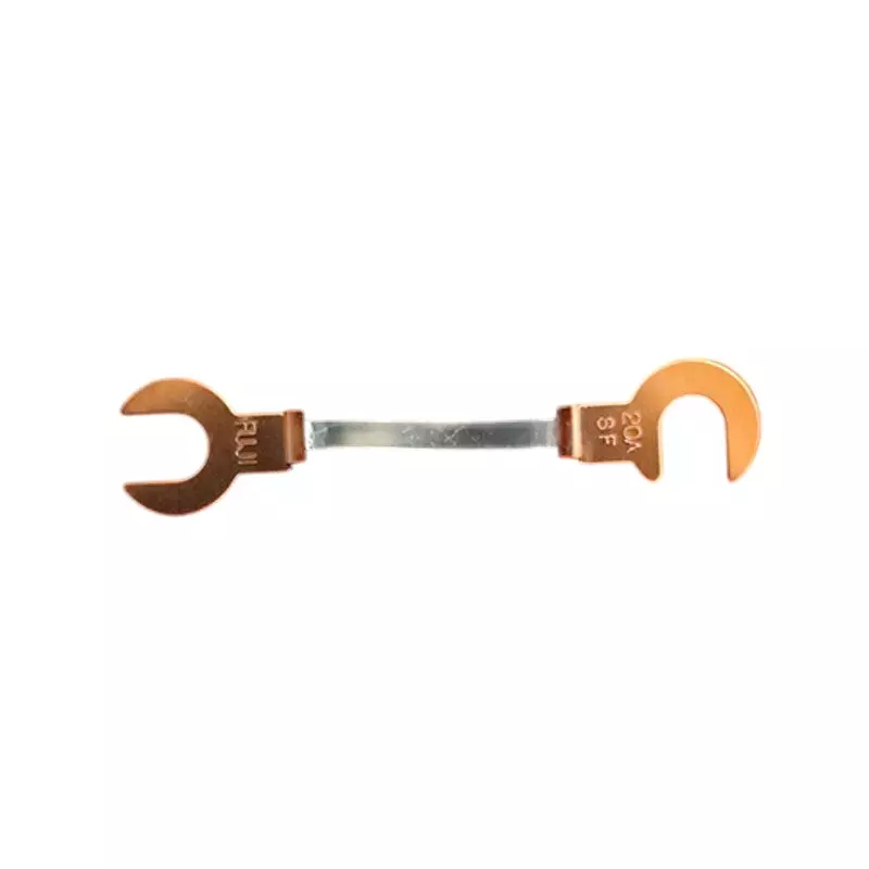 Esco Copper Claw Fuse 250 V Rated Voltage 20 A Rated Current Soluble lead alloy Main Unit Material, EA758ZP-4 (Pack of 2)
