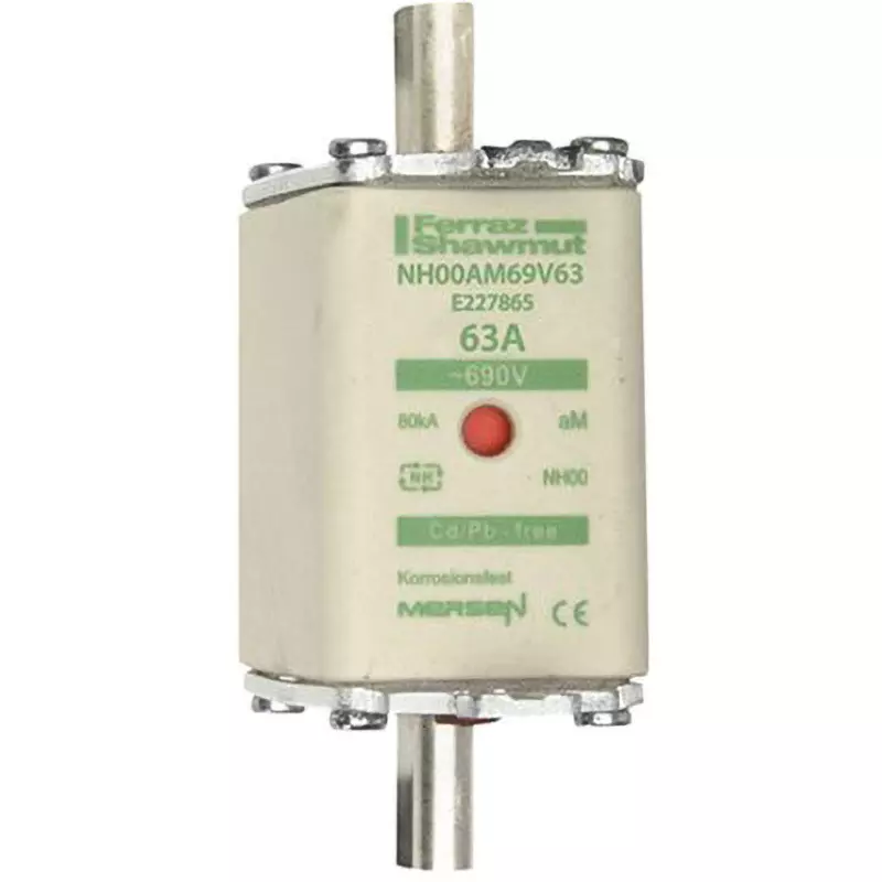 Mersen Fuse Link 63 A Rated Current 690 AC Rated Voltage, E227865C (Pack of 3)