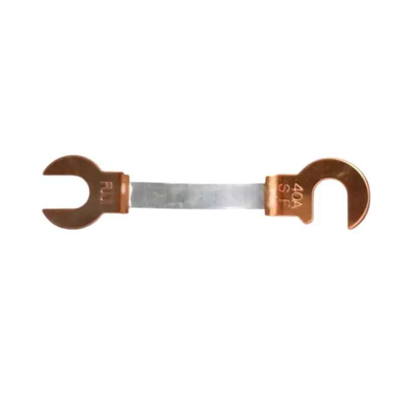 Esco Copper Claw Fuse 250 V Rated Voltage 40 A Rated Current Soluble lead alloy Main Unit Material, EA758ZP-5B (Pack of 2)