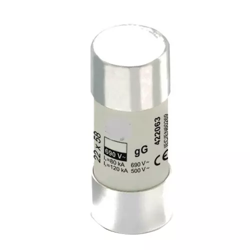 ENERTECH Cylindrical Fuse 100 Amp 22x58 mm Size Ceramic 690 V AC / 500 V DC, 22*58 FUSE