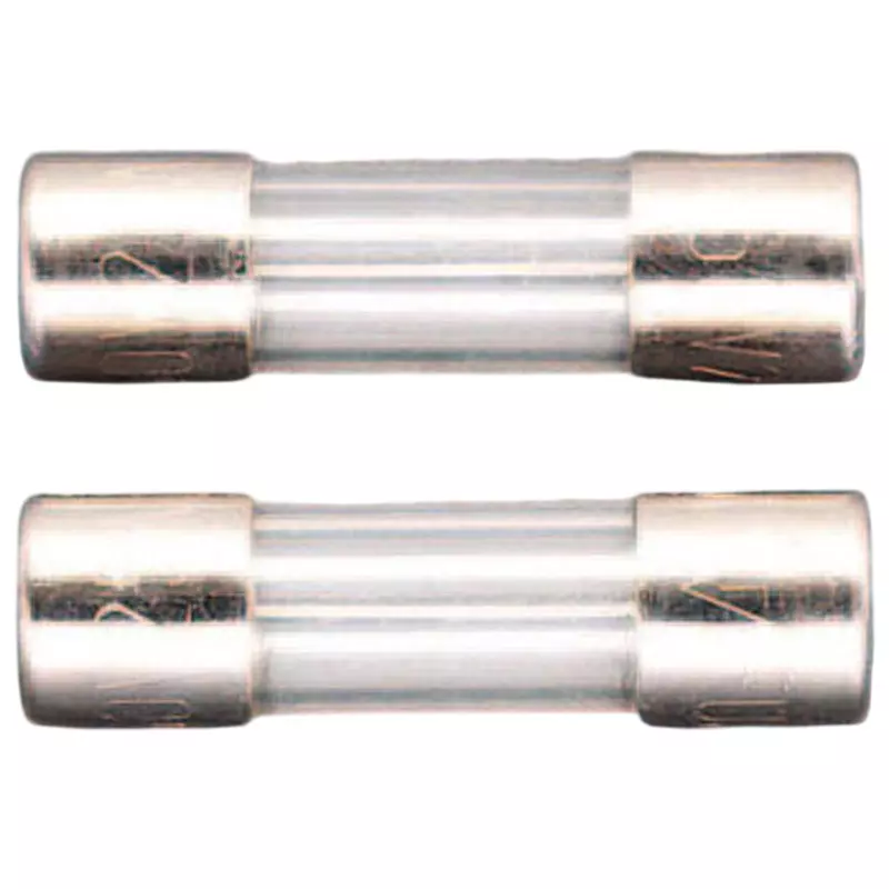 Esco Tube Fuse 250 V Rated Voltage, EA758ZY-24 (Pack of 2)