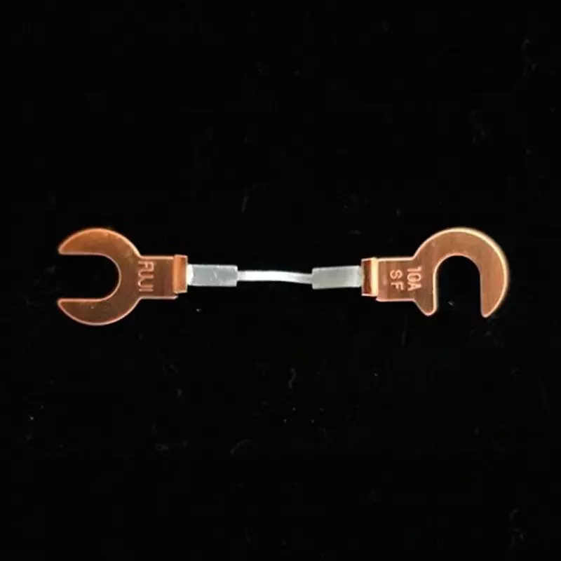 Esco Copper Claw Fuse 250 V Rated Voltage 10 A Rated Current Soluble lead alloy Main Unit Material, EA758ZP-3 (Pack of 2)