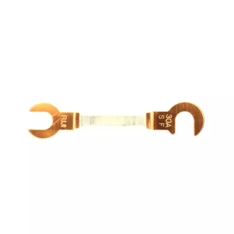 Esco Copper Claw Fuse 250 V Rated Voltage 30 A Rated Current Soluble lead alloy Main Unit Material, EA758ZP-5 (Pack of 2)