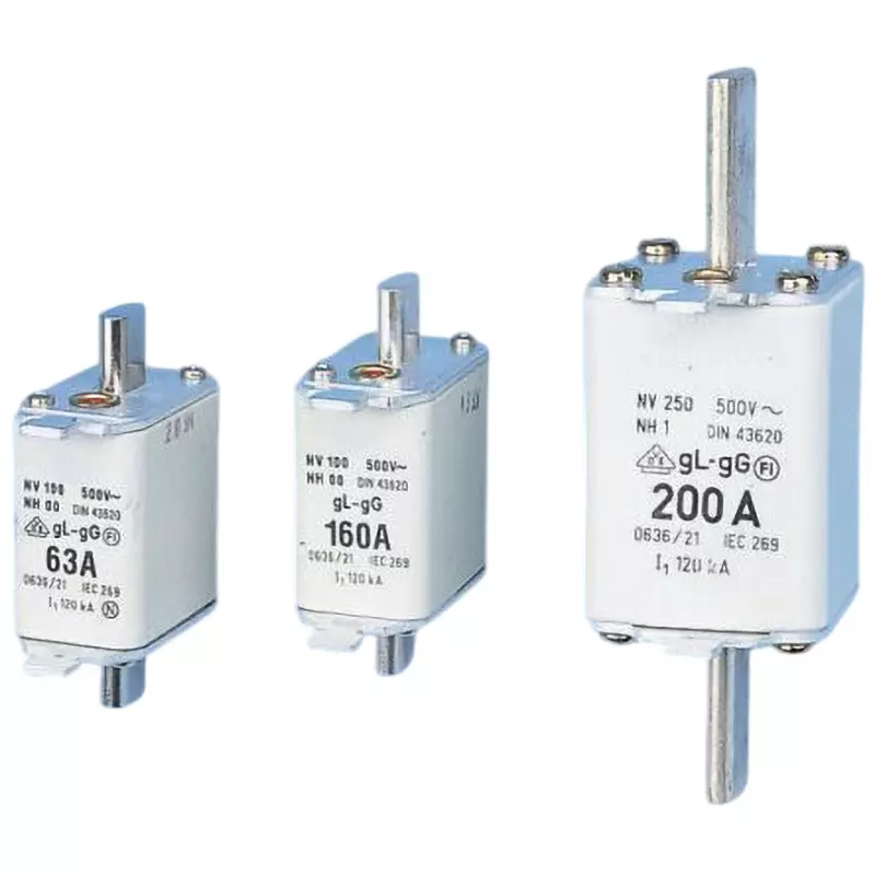 SIBA Fuse Link 100 A Rated Current 500 AC Rated Voltage NH1 Fuse, 20-003-13/100A