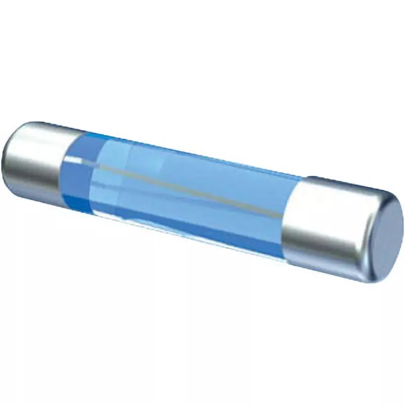 ELPA Glass Tube Fuse 0.5 Amp Rated Current Φ5.2x20 mm Size, MF-2005H (Pack of 2)