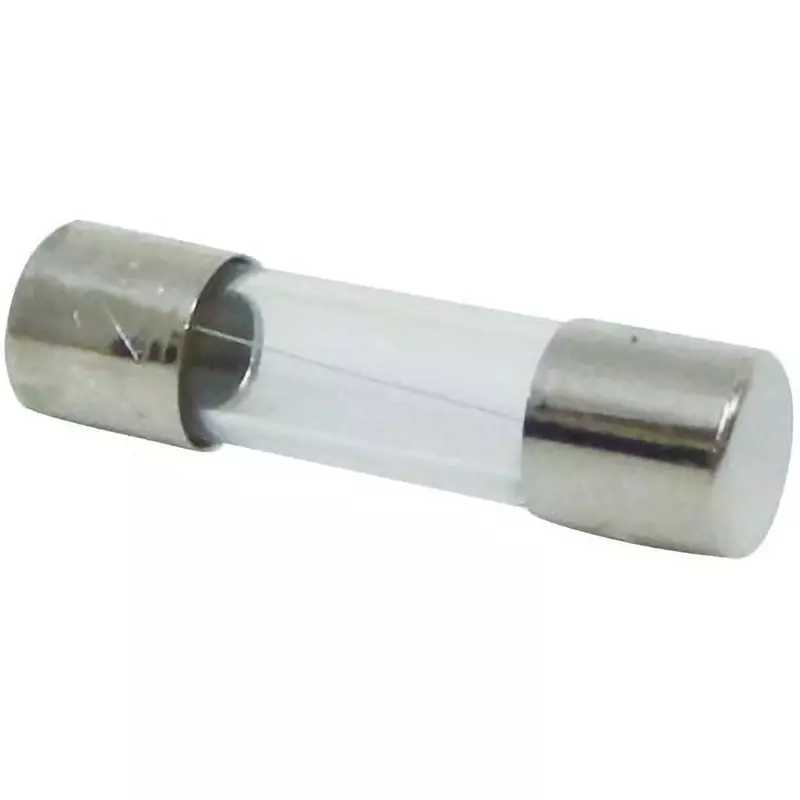ELPA Glass Tube Fuse 1 Amp Rated Current Φ5.2x20 mm Size, MF-2010H (Pack of 2)