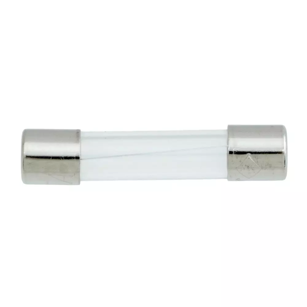 FUJI TERMINAL INDUSTRY Glass Tube Fuse 5 Amp Rated Current AC 250 V Rated Voltage, FP-FGBO-250V-5A-2P-PBF (Pack of 2)