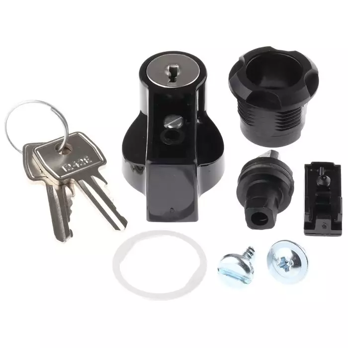 Schneider Electric Steel Lock, NSYTHL1242EPLM