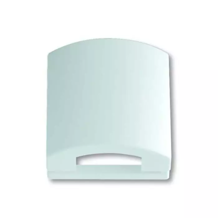 ABB White 1 Gang Plastic Kabel Cover Plate, 2CKA001710A3167