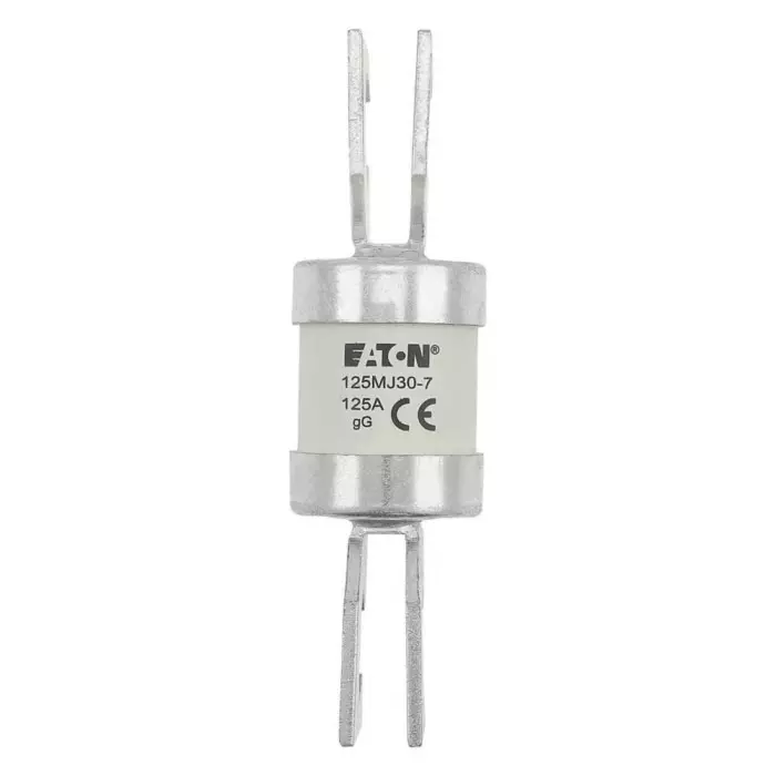 EATON 125A Tag Fuse, 31 x 110 mm, 415V, 125MJ30-7 (Pack of 10)