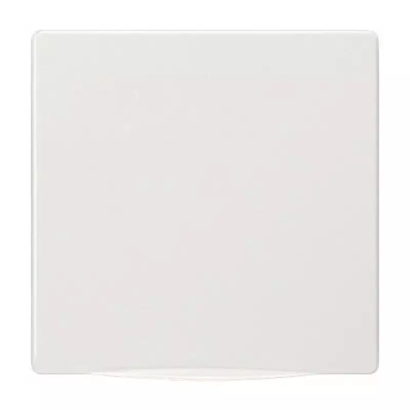 Siemens White Cover Plate Thermoplastic Cover Plate, 5TG1340