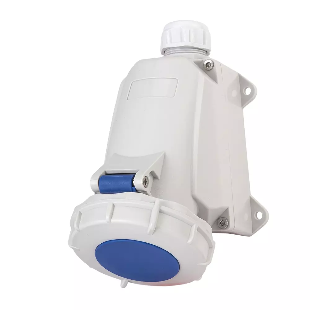 Salzer Wall Mounted Socket 125 Amp 2 Pole+Earth IP 67 Rating 230 V, IP12536-1381