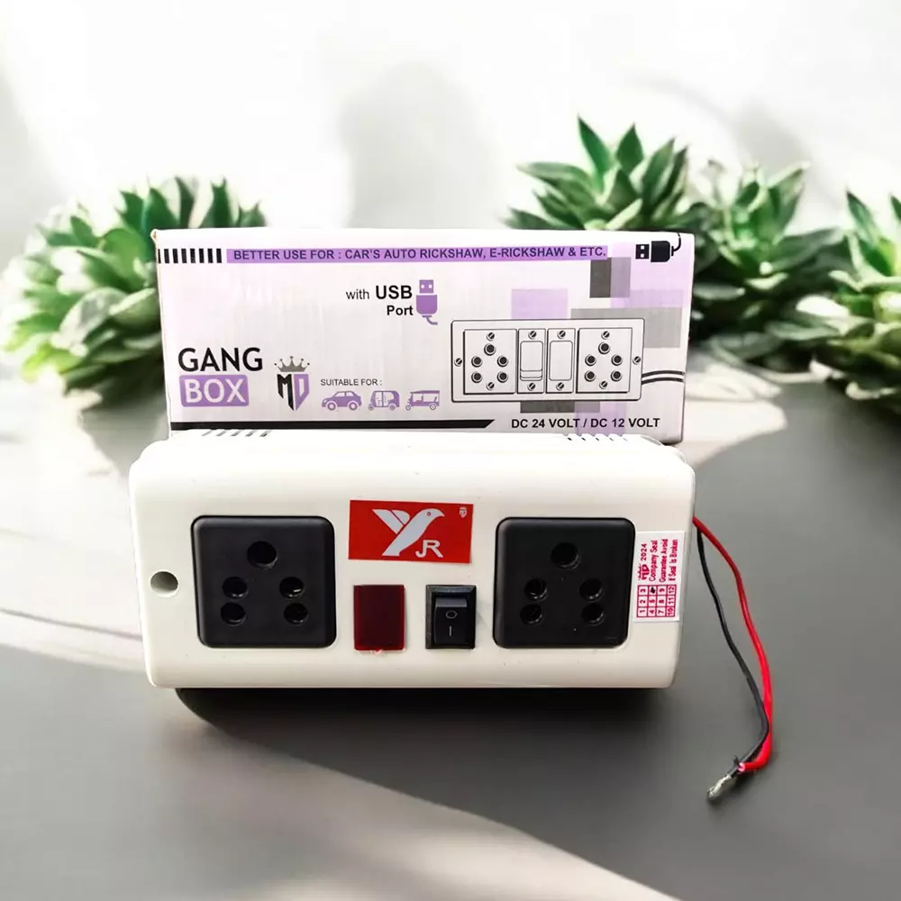 GENERIC 12 V DC to AC Converter with 2 Output Socket Solar SMPS Power Supply, YR CON2