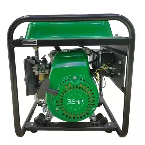 Alpha Portable Generators AVR 800 W Rated Output 9 L Fuel Capacity 98 CC Engine, A1200