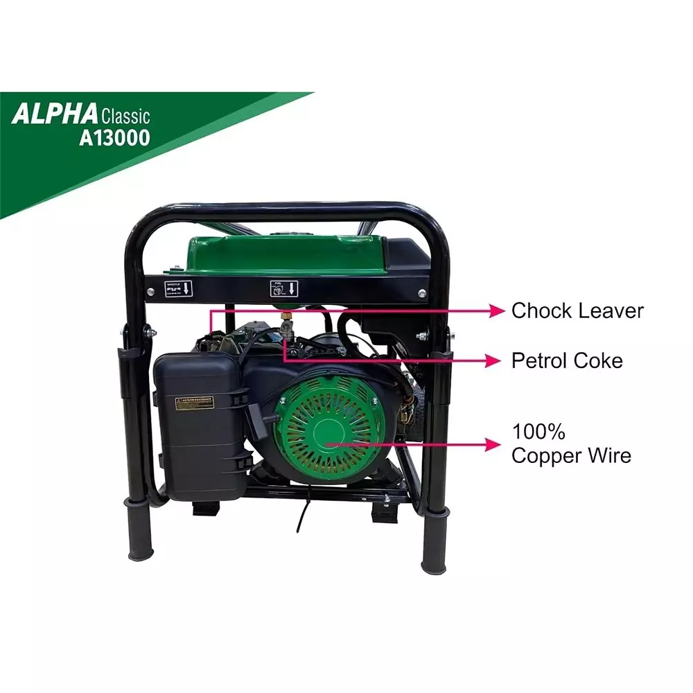 Alpha Portable Generators AVR 9000 W Rated Output 25 L Fuel Capacity 550 CC Engine, A13000