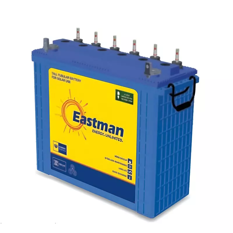 Eastman ER E Rickshaw Battery 125 Ah Capacity 411 X172 X235 mm Blue, EM12012ER